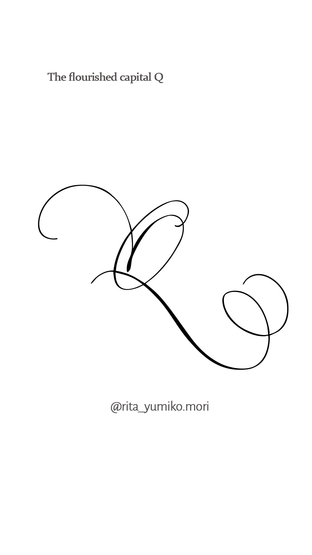 Q Rita Calligraphy Flourishing Q | Rita Flower&Calligraphy