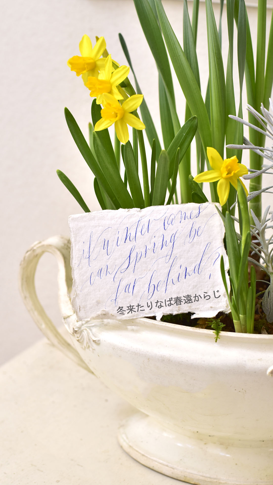 ペン、土、アンティーク 私の暮らしを彩るTop 3 | Rita Flower&Calligraphy